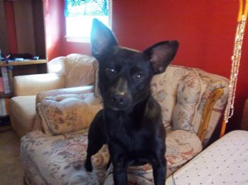 jessyboo profile photo