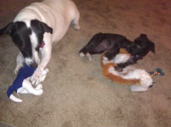 NicJack44 profile photo