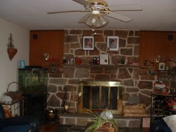 lue2009 profile photo