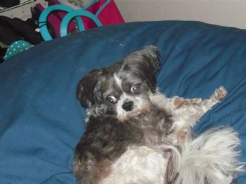 carmenmarie profile photo