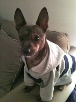 naomi_dxb profile photo