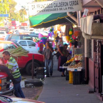 joparsons48 profile photo