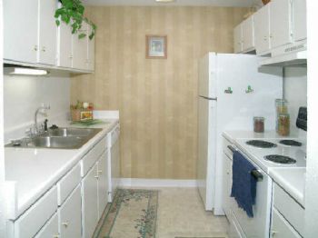 pavilion21 profile photo