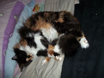 Mariah08 profile photo