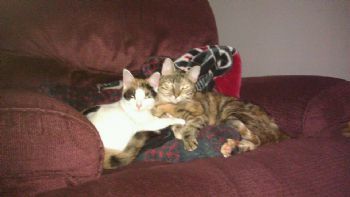 ludachrristy profile photo