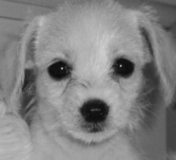 Soraya:D profile photo