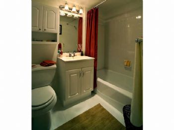 CrystelS22 profile photo