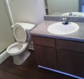 madlove255 profile photo