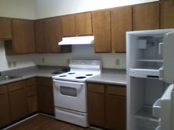 madlove255 profile photo