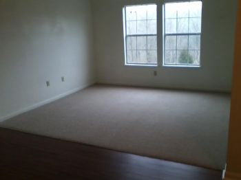 madlove255 profile photo