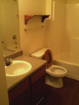 madlove255 profile photo