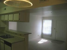 oxalinaxo profile photo