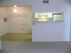 oxalinaxo profile photo