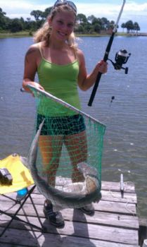 ageiger4 profile photo