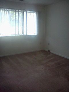 jlynn2400 profile photo