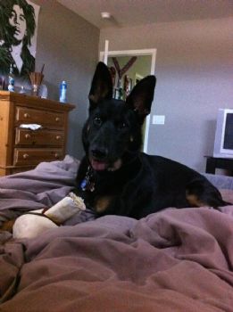 Lilsansone profile photo