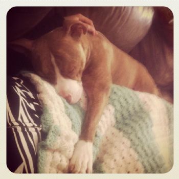 Lilsansone profile photo