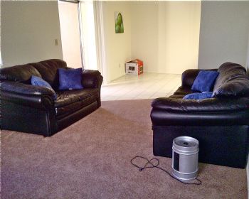 kellydp11 profile photo