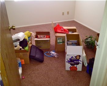 kellydp11 profile photo