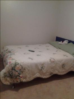 mstiskin profile photo