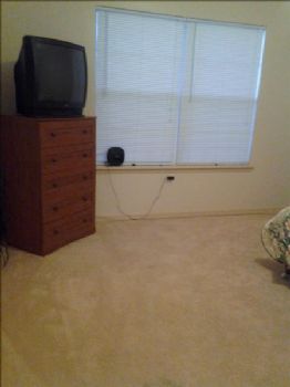 mstiskin profile photo