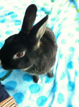 cotton85263 profile photo