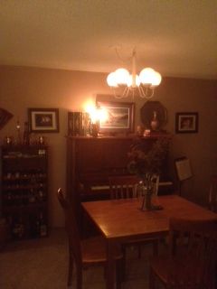 TennisGuy17 profile photo