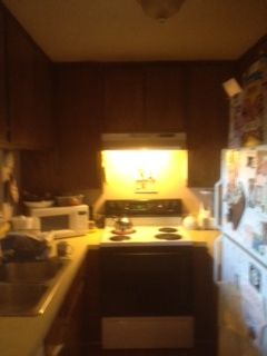 TennisGuy17 profile photo