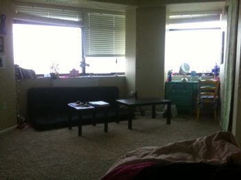 macdonaldmeg profile photo