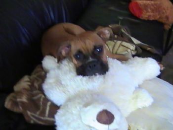 kathvamp profile photo