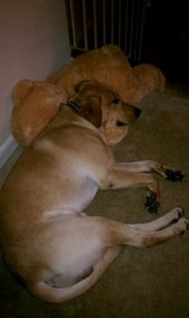 avillan15 profile photo