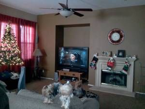 egamarro profile photo