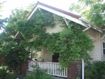 Jimmingste profile photo