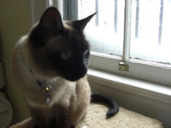 zipperflip profile photo