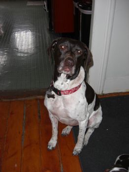 zipperflip profile photo