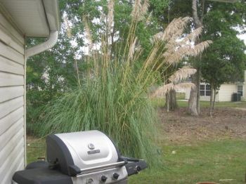 eleecurtis profile photo