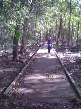 alh6305 profile photo