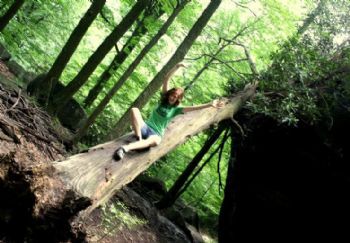 anashley profile photo