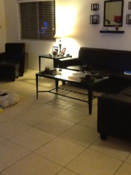 sloastler profile photo