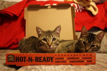 akfenner profile photo