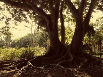 KristenS12 profile photo