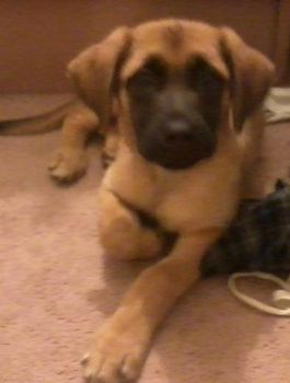 robbie22 profile photo