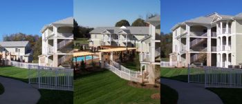 njhonea profile photo