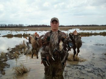 nhgross profile photo