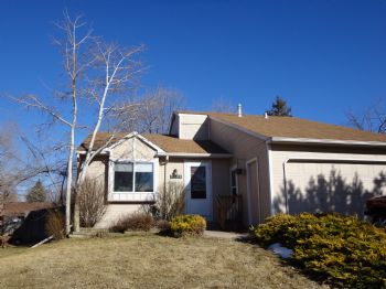 DMColo54 profile photo