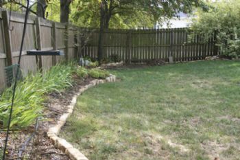 kjsvgf profile photo