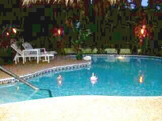 rastaman1 profile photo