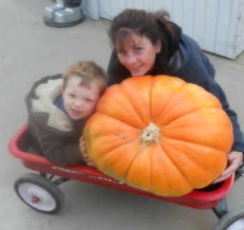 cmmast profile photo