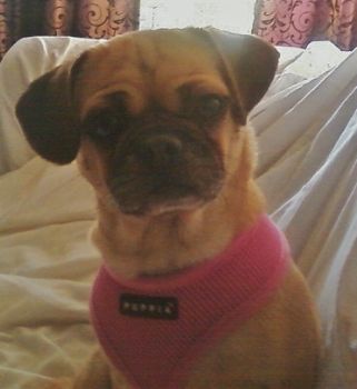 RobinYoung profile photo