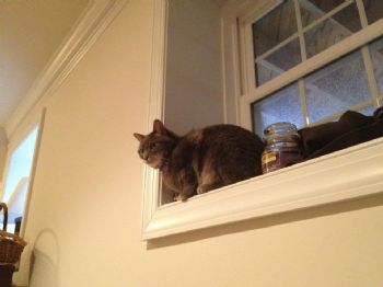 ReedCarr profile photo